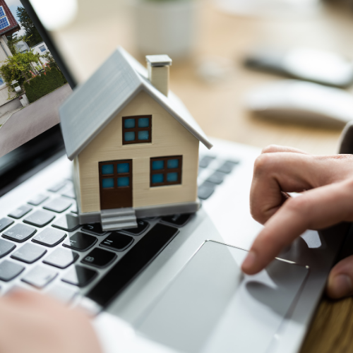 International Property